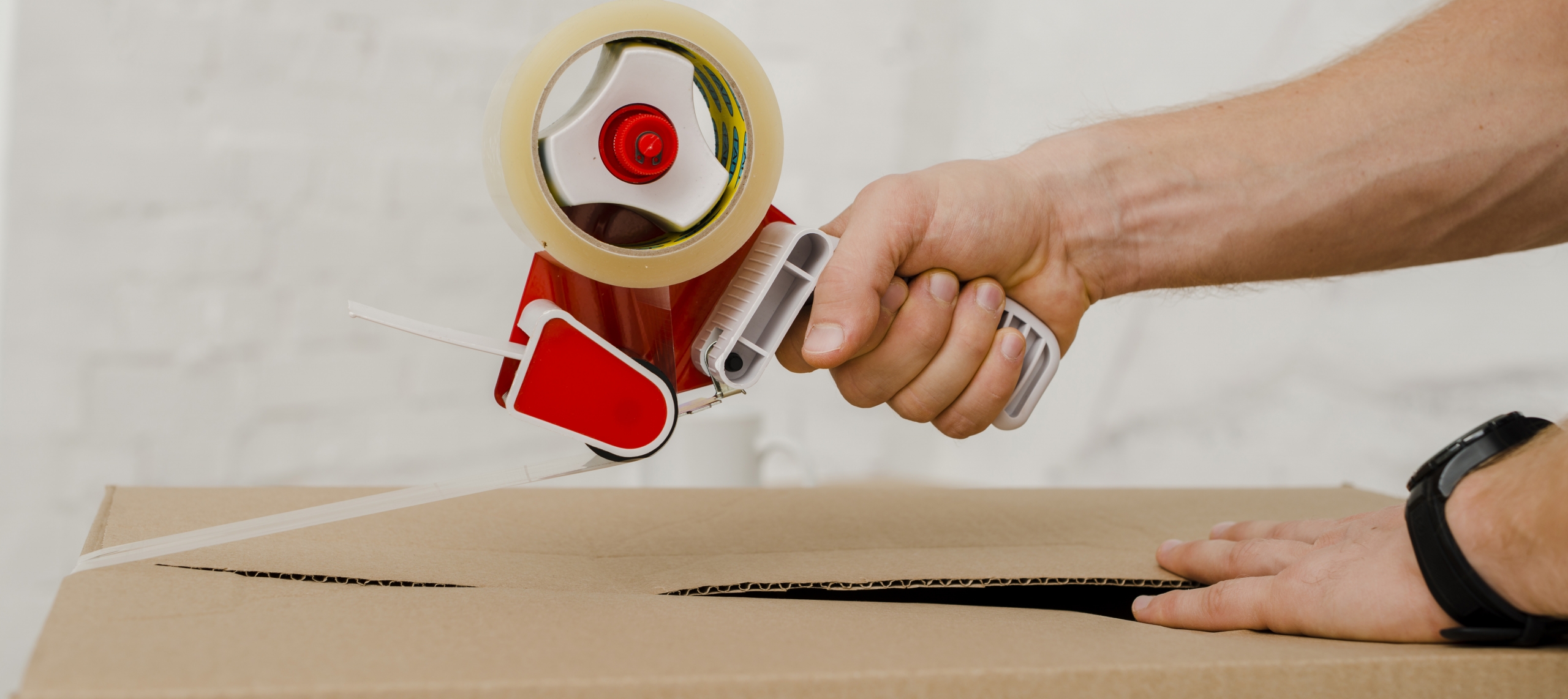 bognor regis removals